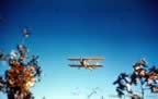 N2S Planes Pictures 