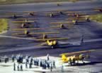15404.jpg (59kb)