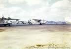 16471.jpg (49kb)