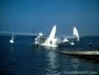 14904.jpg (39kb)