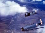 Pictures SBD Plane