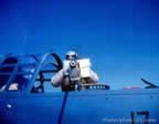Pictures SBD Plane