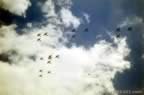 Pictures SBD Plane