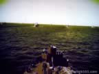 Naval Convoy Pictures of World War II