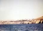 cat-1955.jpg (63kb)