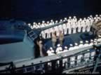 cat-1957.jpg (79kb)