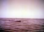 chr-4856.jpg (54kb)