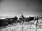 PICT1946.jpg (128kb)