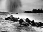 PICRoyalty Free Picture of D-Day, Invasions of Normandy, landing on the beaches