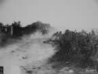 Royalty Free Picture of D-Day, Invasions of Normandy, landing on the beaches