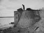 PICT2273.jpg (99kb)
