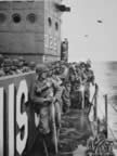 PICT1914.jpg (91kb)