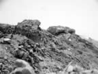 PICT4519.jpg (85kb)