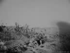 PICT4535.jpg (55kb)