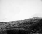 PICT4564.jpg (43kb)