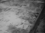 PICT5008.jpg (63kb)
