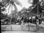 PICT2799.jpg (210kb)