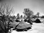 PICT2801.jpg (164kb)