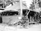 PICT2809.jpg (163kb)