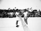 PICT2874.jpg (100kb)