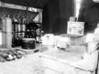 PICT2890.jpg (104kb)