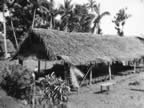 PICT2954.jpg (183kb)