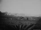 PICT5413.jpg (46kb)