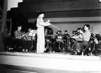PICT5690.jpg (60kb)