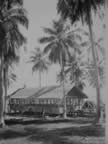 PICT5608.jpg (78kb)