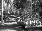 PICT5708.jpg (118kb)