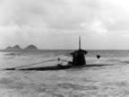 Japanese Midget sub